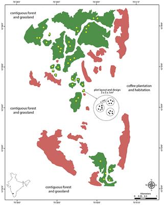 Effects of Forest Fragment Area on Interactions Between Plants and Their Natural Enemies: Consequences for Plant Diversity at Multiple Spatial Scales